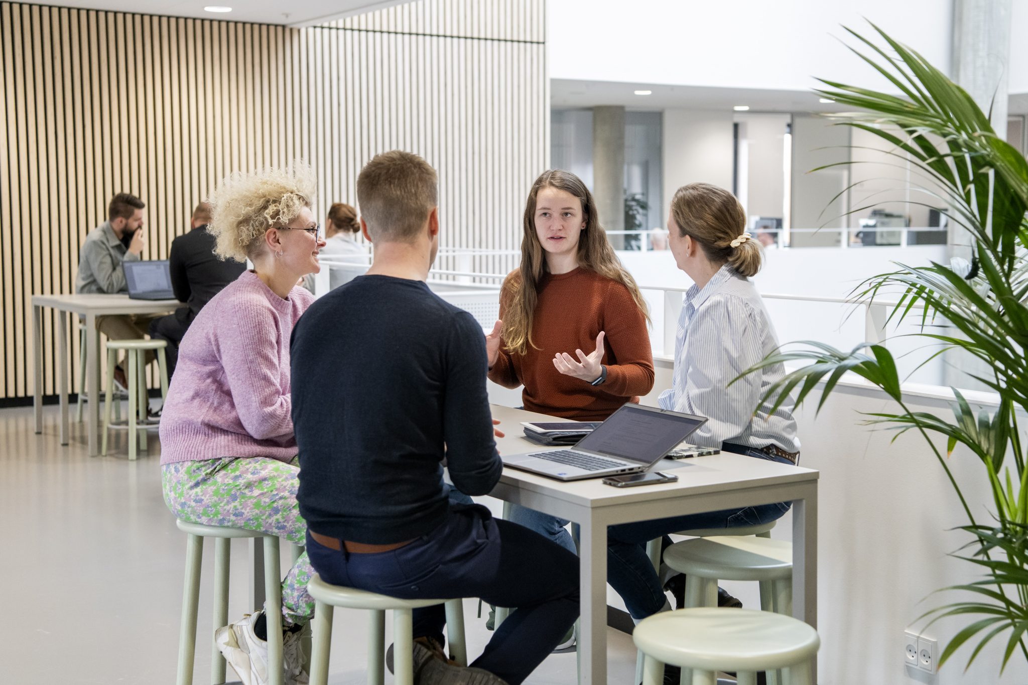 Gruppearbejde på IBA