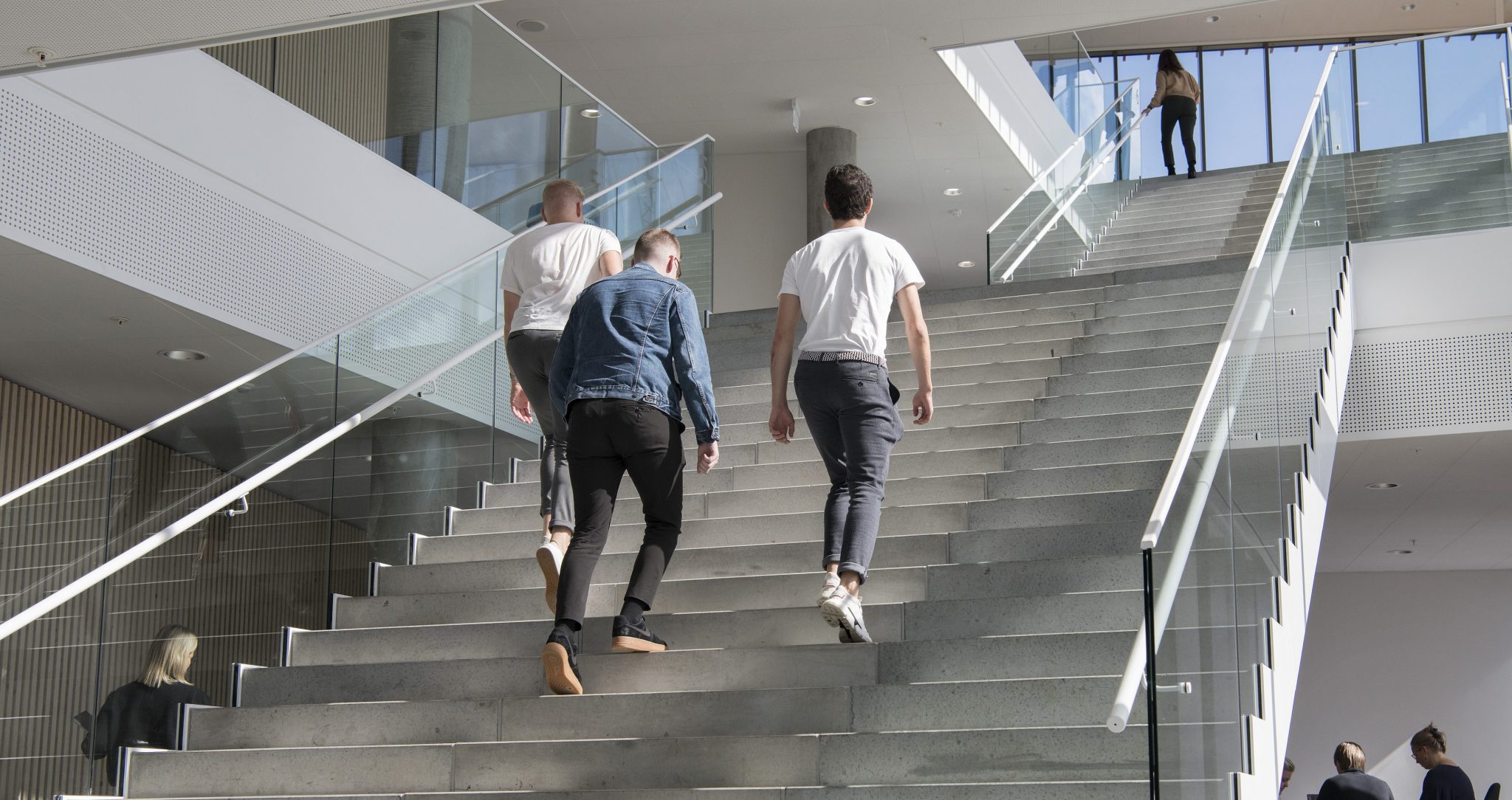 35 procent af IBA’s studerende får job i praktikvirksomheden