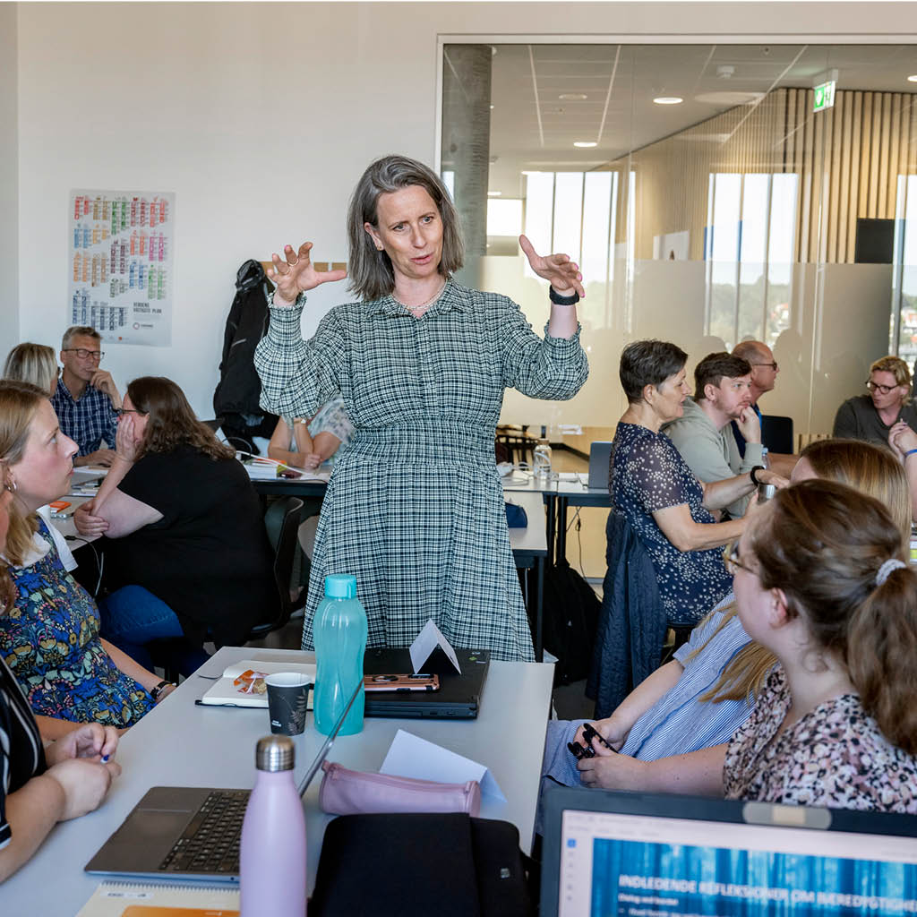 Undervisningssituationer på efteruddannelserne på IBA