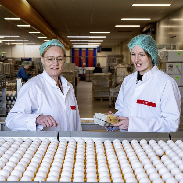 Louise Paarup og kollega foran en masse æg på Danæg.