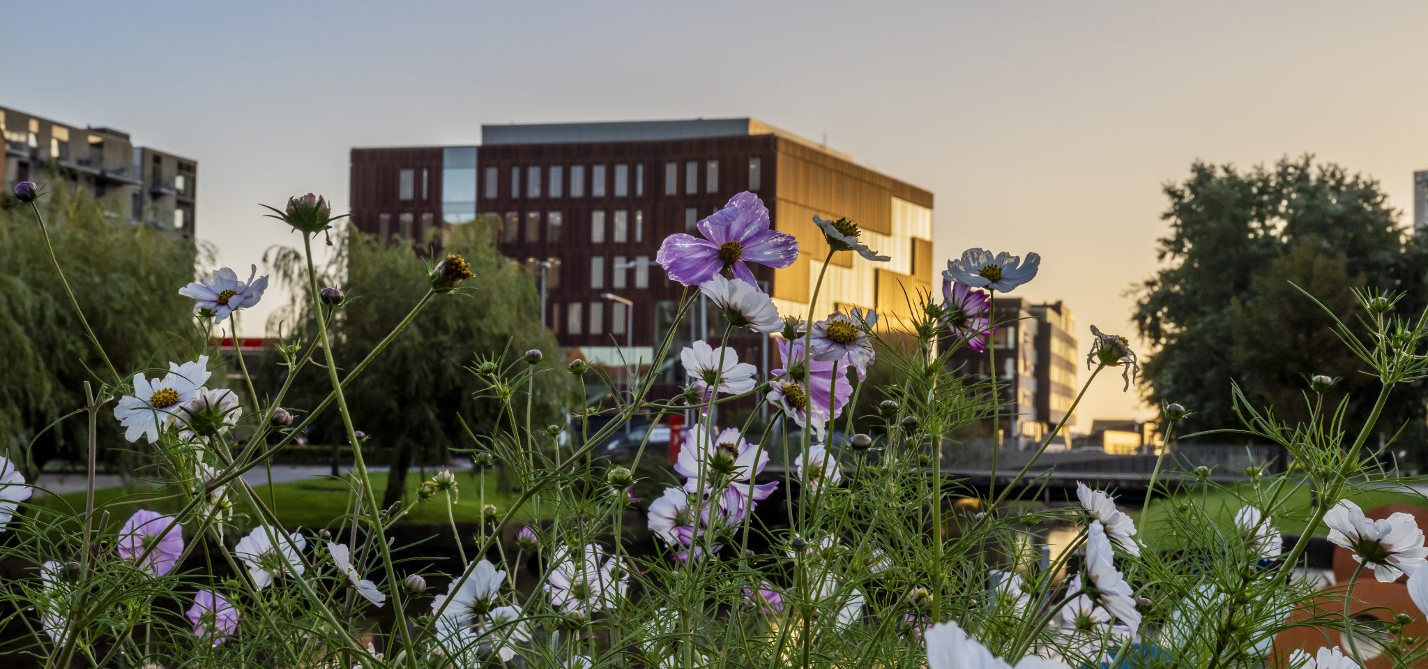 – Sustainability is about twenty centimeters