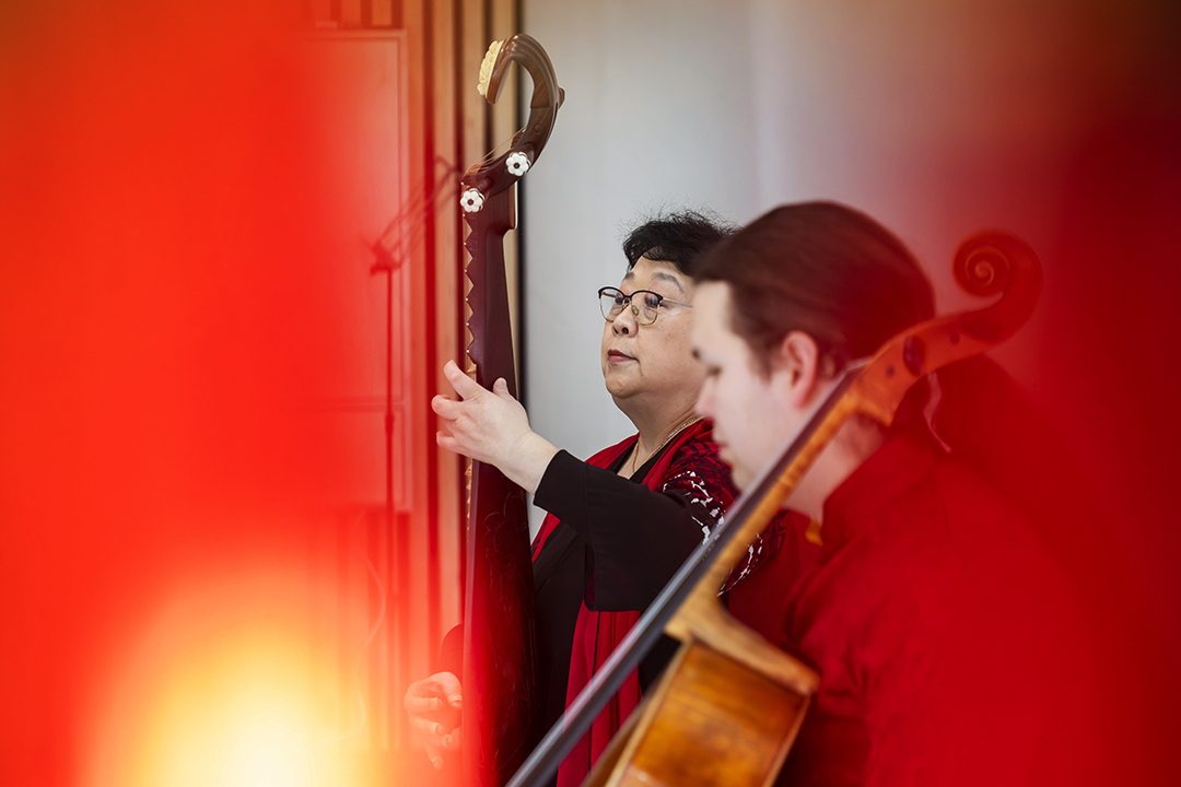 Foto af en musiker, der spiller på en harpe